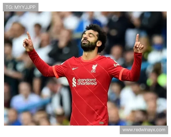 精打细算稳中求变，科隆转会策略聚焦长期竞争力