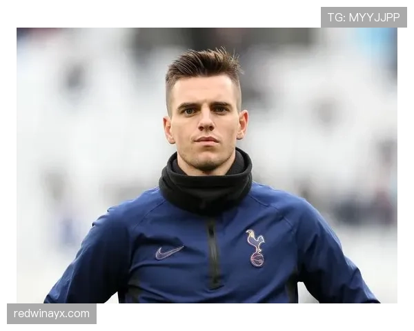 洛塞尔索热刺迎来爆发,助球队强势反弹引关注 洛塞尔索热刺迎来爆发,助球队强势反弹引关注