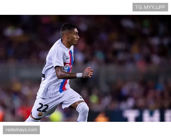 拉菲尼亚慈善活动介绍