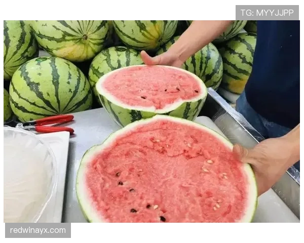 谌利军家里冰箱贴满训练计划，老婆说他连吃块西瓜都要称重